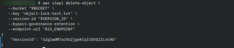 ../../../../_images/bypass_governance_retention.png