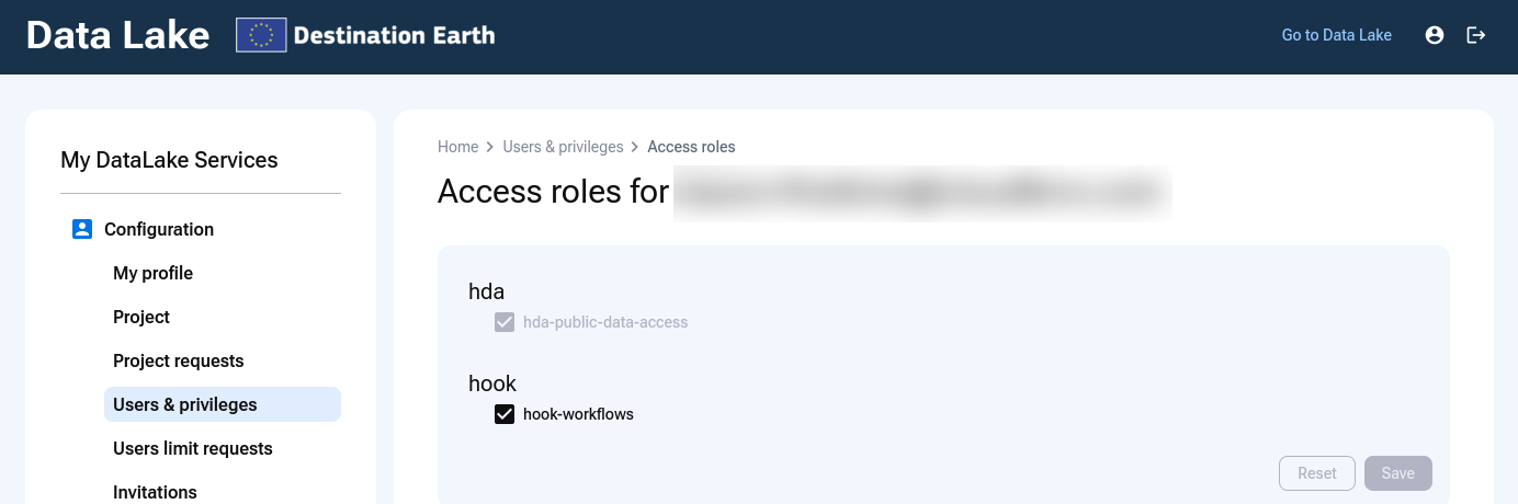 ../../_images/hook-active-access-role.png