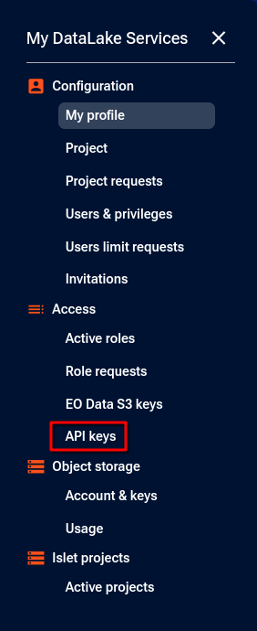 API Keys section in My DataLake Services