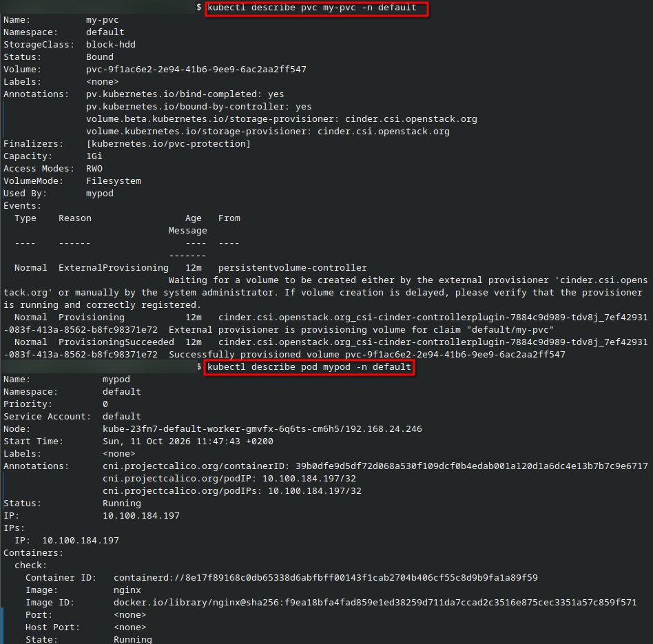 kubectl describe output showing PVC provisioning events and pod details.