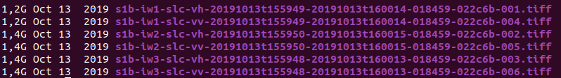../../../../_images/oct-downloaded-ubuntu-tiff-files1.png