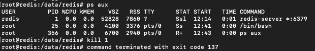 ../_images/redis_kill1.png