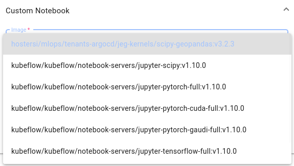 ../../../_images/selecting-the-kernel-for-jupyterlab-image.png