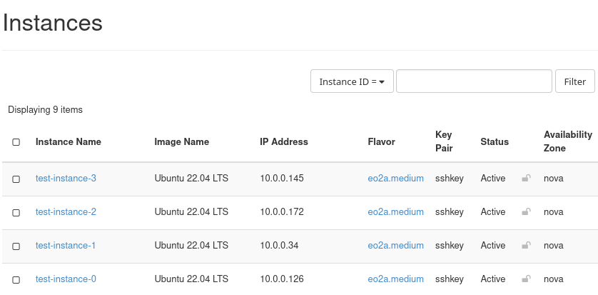 ../../../../_images/terraform_created_test_instances.png